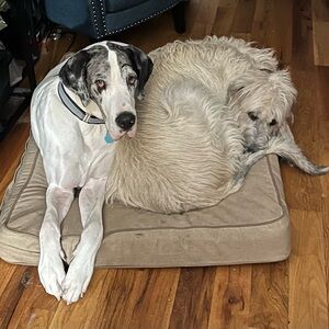 Meet your Posher, Marc